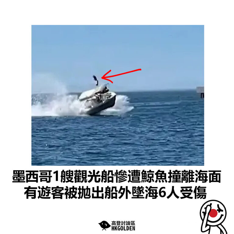 【墨西哥1艘觀光船慘遭鯨魚撞離海面 有遊客被拋出船外墜海6人受傷 】