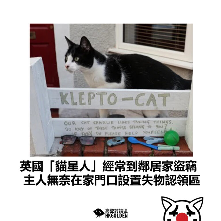 【英國「貓星人」經常到鄰居家盜竊 主人無奈在家門口設置失物認領區】