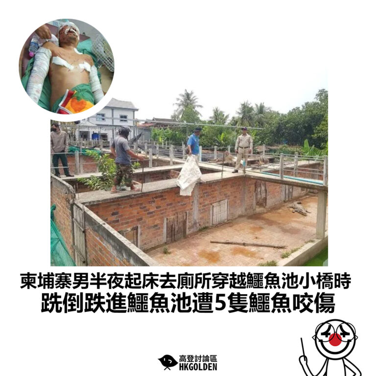 【柬埔寨男半夜起床去廁所穿越鱷魚池小橋時 跣倒跌進鱷魚池遭5隻鱷魚咬傷】