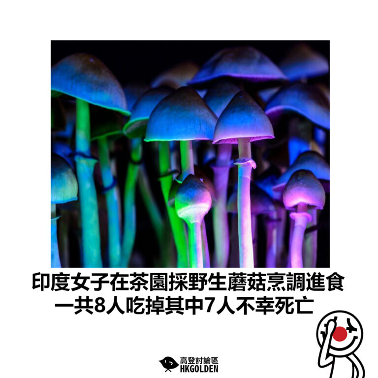 【印度女子在茶園採野生蘑菇烹調進食 一共8人吃掉其中7人不幸死亡】