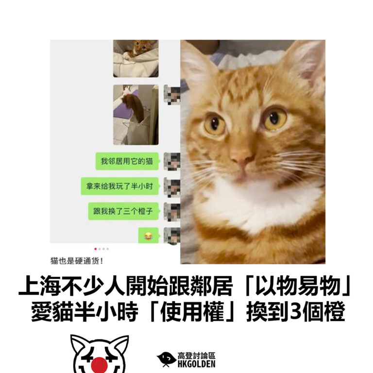 【上海不少人開始跟鄰居「以物易物」愛貓半小時「使用權」換到3個橙 】