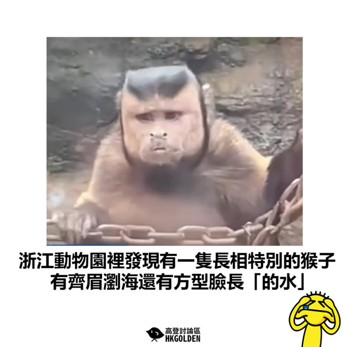 dsgdsggdsgdsg