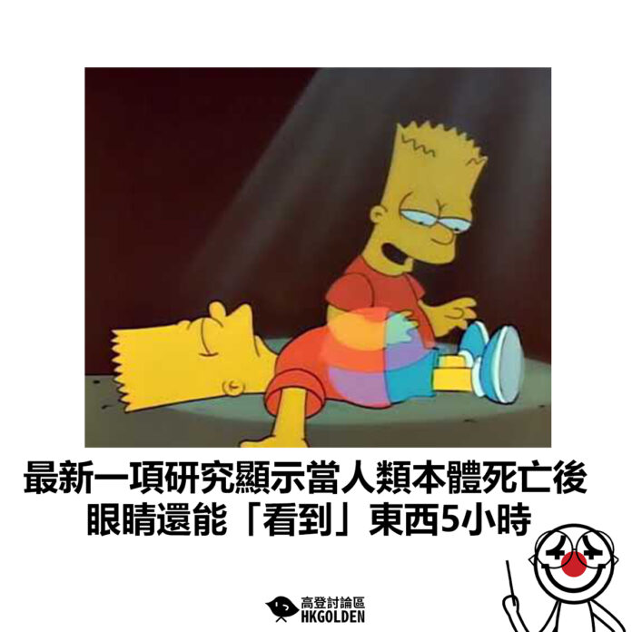dsgfgsdgds