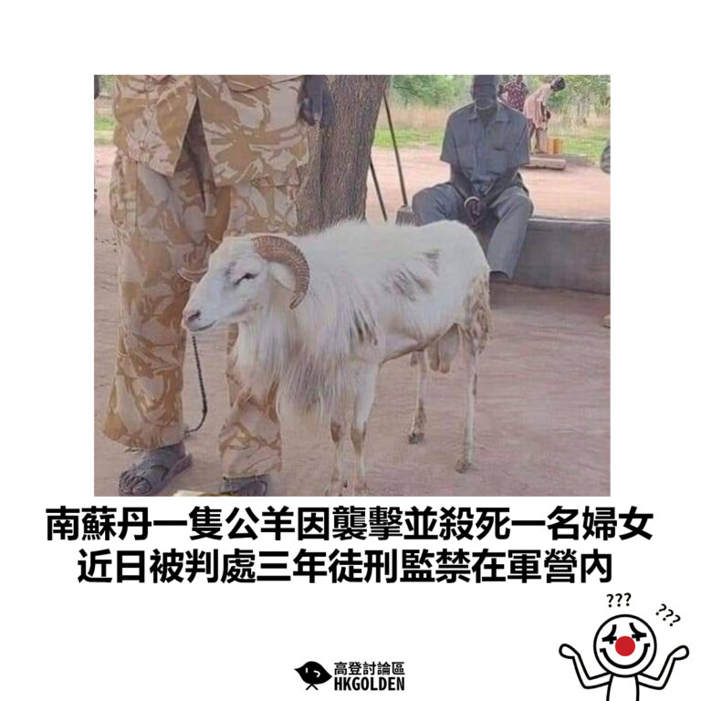 【南蘇丹一隻公羊因襲擊並殺死一名婦女 近日被判處三年徒刑監禁在軍營內】