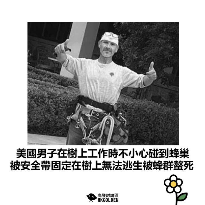 dsgsgsgsdg
