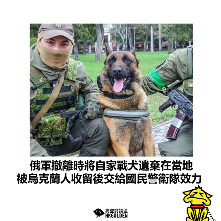 【俄軍撤離時將自家戰犬遺棄在當地 被烏克蘭人收留後交給國民警衛隊效力】