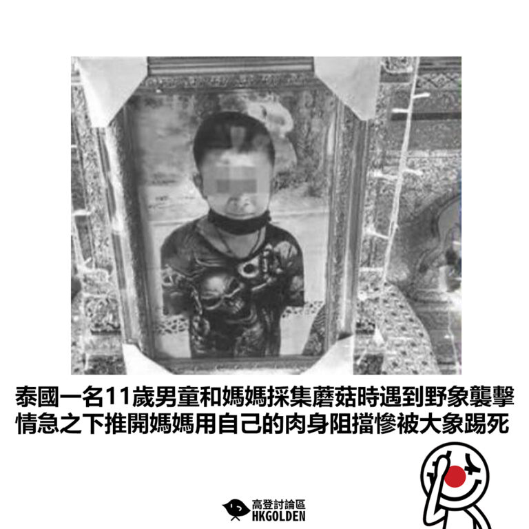 【泰國一名11歲男童和媽媽採集蘑菇時遇到野象襲擊 情急之下推開媽媽用自己的肉身阻擋慘被大象踢死】