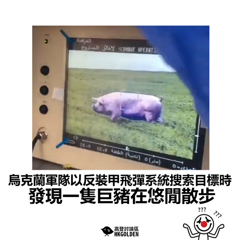 【烏克蘭軍隊以反裝甲飛彈系統搜索目標時 發現一隻巨豬在悠閒散步】
