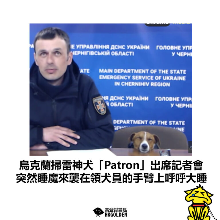 【 烏克蘭掃雷神犬「Patron」出席記者會 突然睡魔來襲在領犬員的手臂上呼呼大睡】