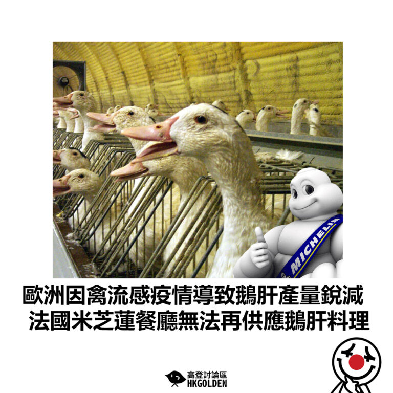【歐洲因禽流感疫情導致鵝肝產量銳減 法國米芝蓮餐廳無法再供應鵝肝料理】
