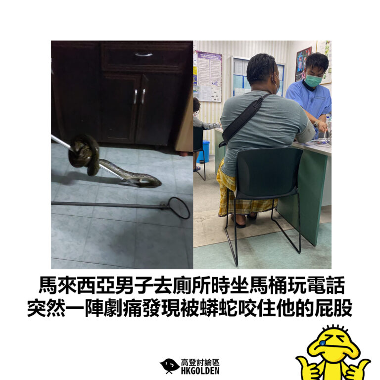【馬來西亞男子去廁所時坐馬桶玩電話 突然一陣劇痛發現被蟒蛇咬住他的屁股】