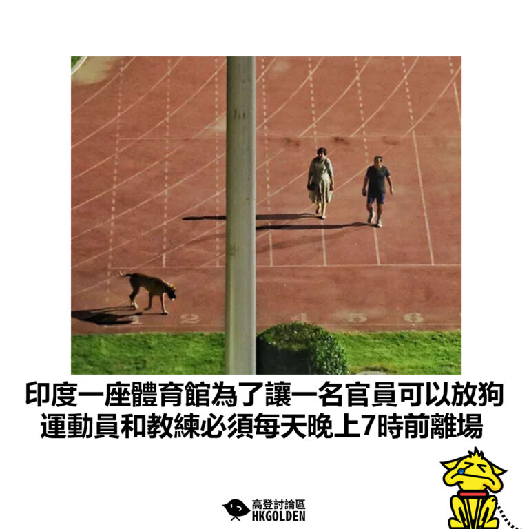 【印度一座體育館為了讓一名官員可以放狗 運動員和教練必須每天晚上7時前離場】