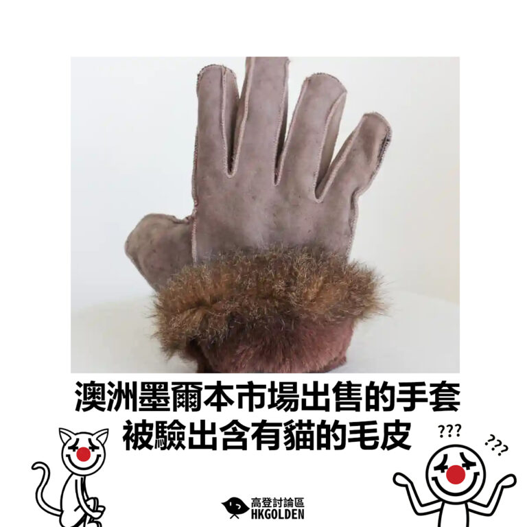 【澳洲墨爾本市場出售的手套 被驗出含有貓的毛皮】