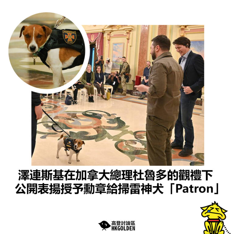 【澤連斯基在加拿大總理杜魯多的觀禮下 公開表揚授予勳章給掃雷神犬「Patron」】