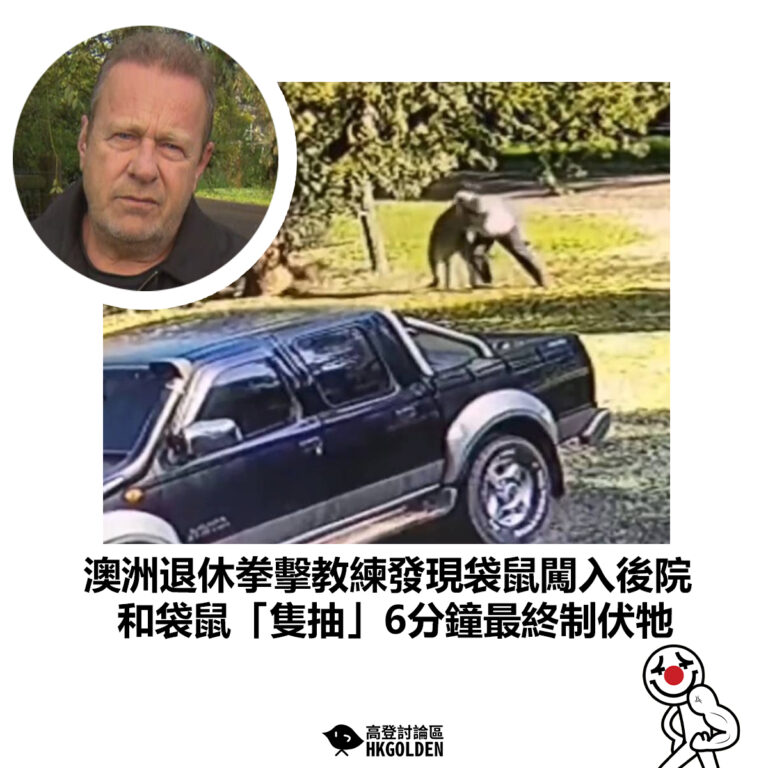 【澳洲退休拳擊教練發現袋鼠闖入後院 和袋鼠「隻抽」6分鐘最終制伏牠】