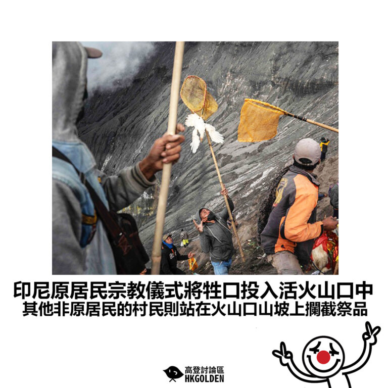 【印尼原居民宗教儀式將牲口投入活火山口中 其他非原居民的村民則站在火山口山坡上攔截祭品】