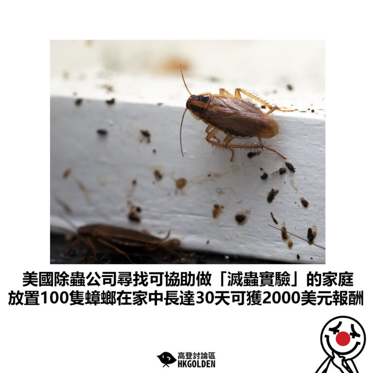 【美國除蟲公司尋找可協助做「滅蟲實驗」的家庭 放置100隻蟑螂在家中長達30天可獲2000美元報酬】