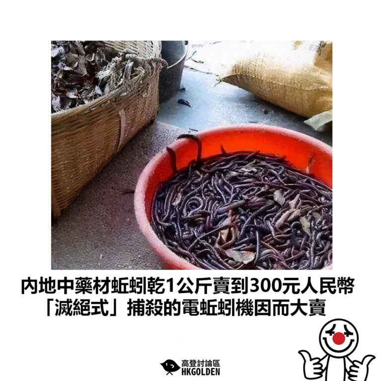 【內地中藥材蚯蚓乾1公斤賣到300元人民幣 「滅絕式」捕殺的電蚯蚓機因而大賣】