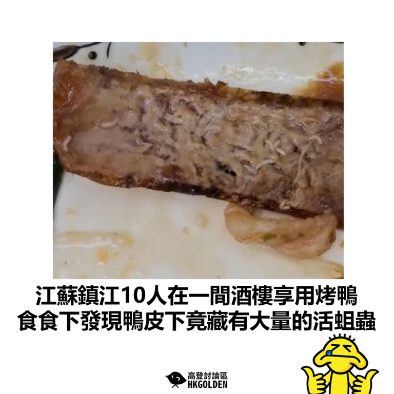 【江蘇鎮江10人在一間酒樓享用烤鴨 食食下發現鴨皮下竟藏有大量的活蛆蟲】