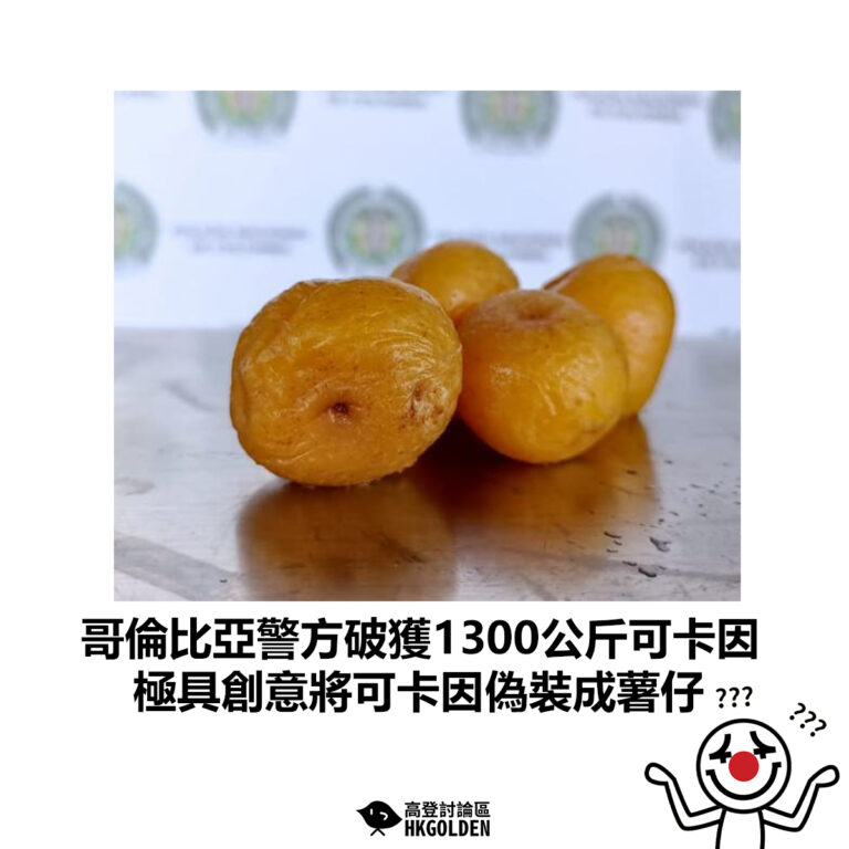 【哥倫比亞警方破獲1300公斤可卡因 極具創意將可卡因偽裝成薯仔】