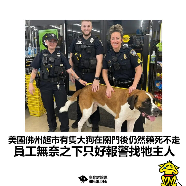 【美國佛州超市有隻大狗在關門後仍然賴死不走 員工無奈之下只好報警找牠主人】