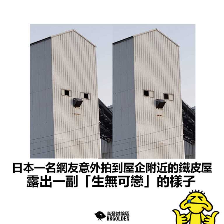 【日本一名網友意外拍到屋企附近的鐵皮屋 露出一副「生無可戀」的樣子 】