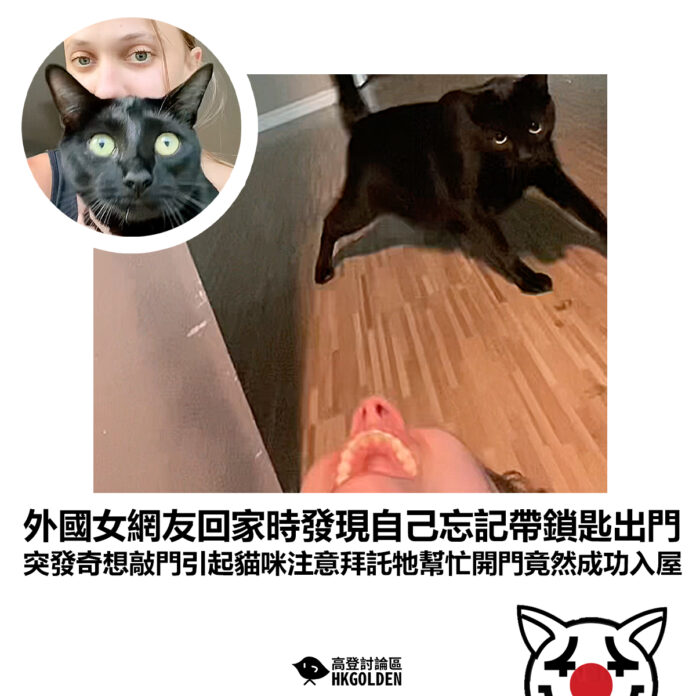 dsgsdgsdg