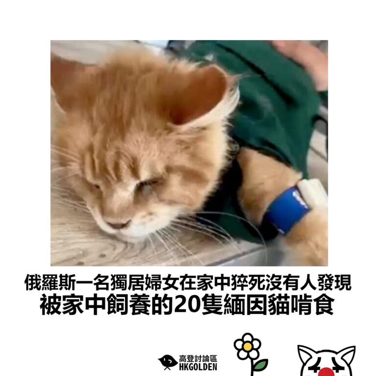 【俄羅斯一名獨居婦女在家中猝死沒有人發現 被家中飼養的20隻緬因貓啃食】