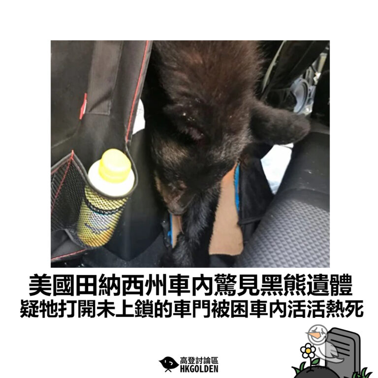 【美國田納西州車內驚見黑熊遺體 懷疑牠打開未上鎖的車門被困車內活活熱死】