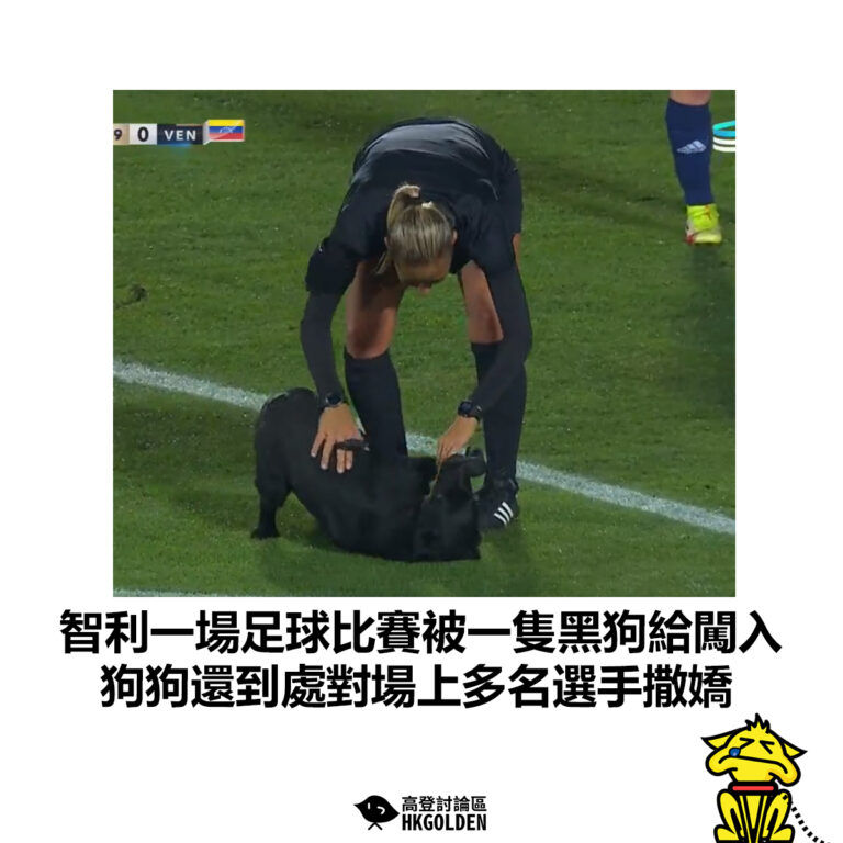 【智利一場足球比賽被一隻黑狗給闖入 狗狗還到處對場上多名選手撒嬌】