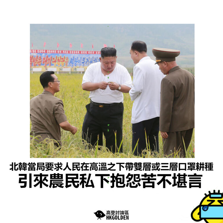 【北韓當局要求人民在高溫之下帶雙層或三層口罩耕種 引來農民私下抱怨苦不堪言】