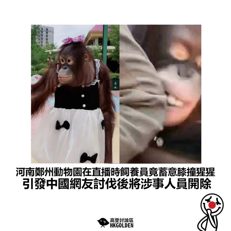 【河南鄭州動物園在直播時飼養員竟蓄意膝撞猩猩 引發中國網友討伐後將涉事人員開除】