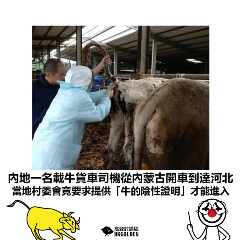 【內地一名載牛貨車司機從內蒙古開車到達河北 當地村委會竟要求提供「牛的陰性證明」才能進入】