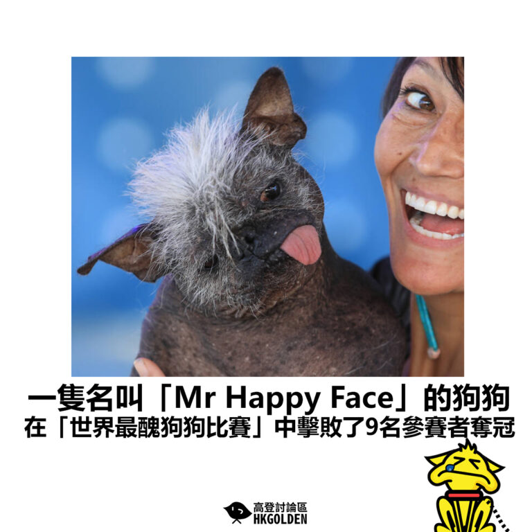 【一隻名叫「Mr Happy Face」的狗狗 在「世界最醜狗狗比賽」中擊敗了9名參賽者奪冠 】