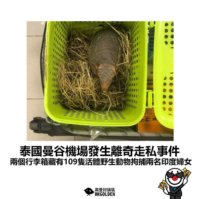 【泰國曼谷機場發生離奇走私事件  兩個行李箱藏有109隻活體野生動物拘捕兩名印度婦女】