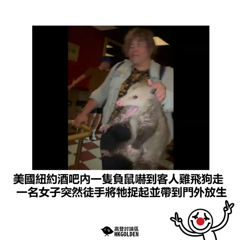 【美國紐約酒吧內一隻負鼠嚇到客人雞飛狗走 一名女子突然徒手將牠捉起並帶到門外放生】