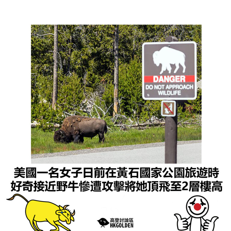 【美國一名女子日前在黃石國家公園旅遊時 好奇接近野牛慘遭攻擊將她頂飛至2層樓高】