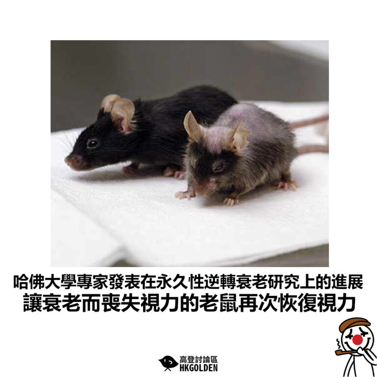 【哈佛大學專家發表在永久性逆轉衰老研究上的進展 讓衰老而喪失視力的老鼠再次恢復視力】