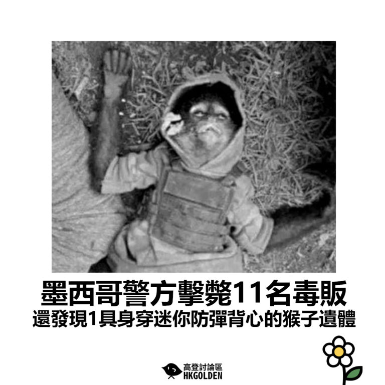 【墨西哥警方擊斃11名毒販 還發現1具身穿迷你防彈背心的猴子遺體】