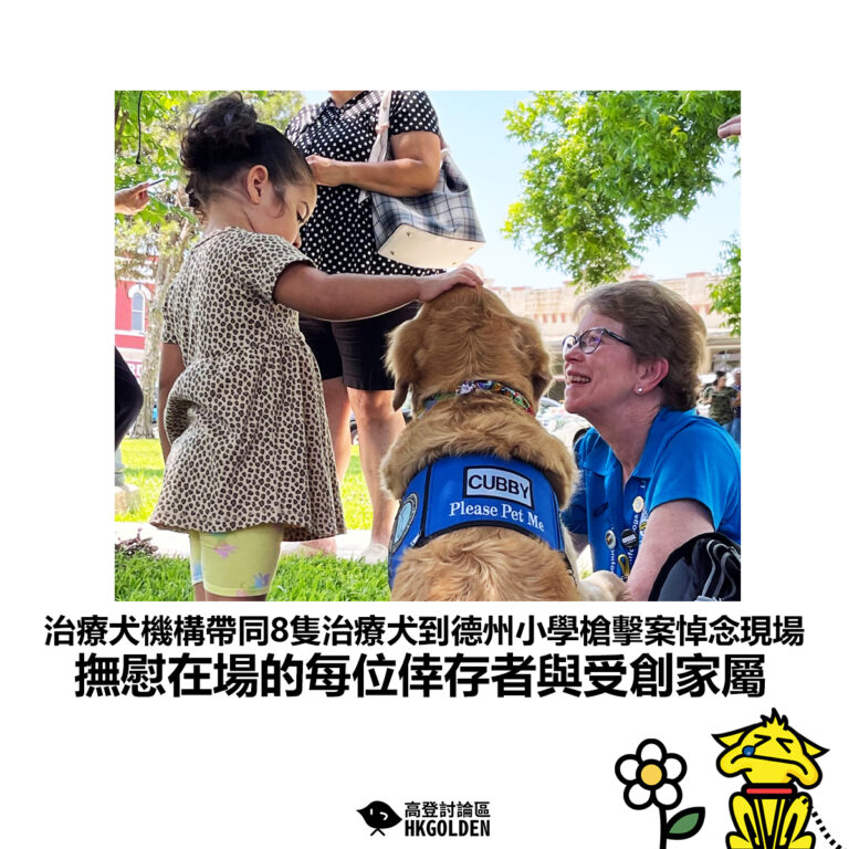 【治療犬機構帶同8隻治療犬到德州小學槍擊案悼念現場 撫慰在場的每位倖存者與受創家屬】