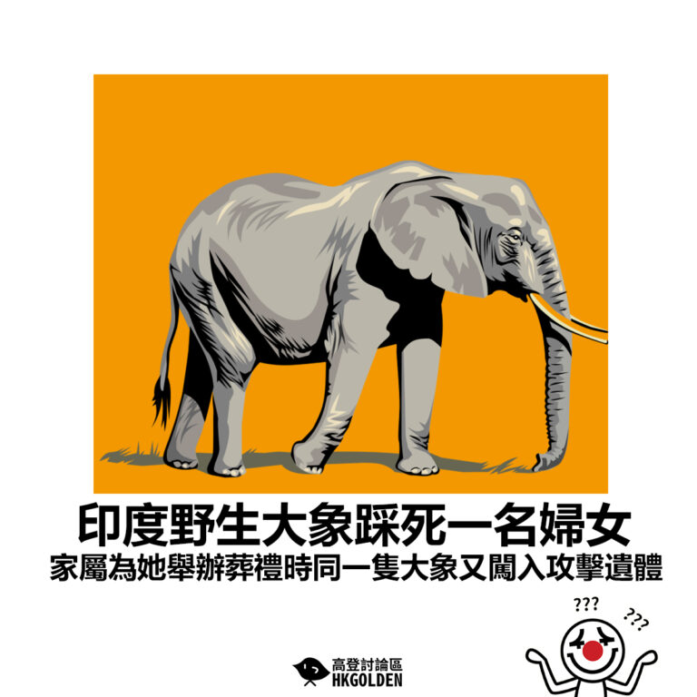 【印度野生大象踩死一名婦女 家屬為她舉辦葬禮時同一隻大象又闖入攻擊遺體】