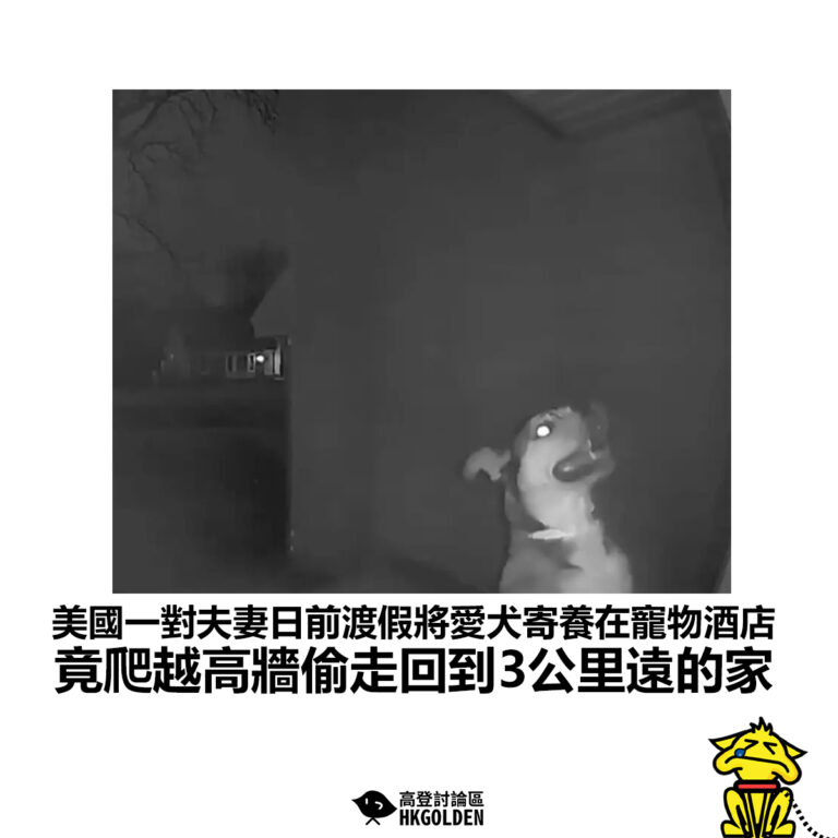 【美國一對夫妻日前渡假將愛犬寄養在寵物酒店  竟爬越高牆偷走回到3公里遠的家】