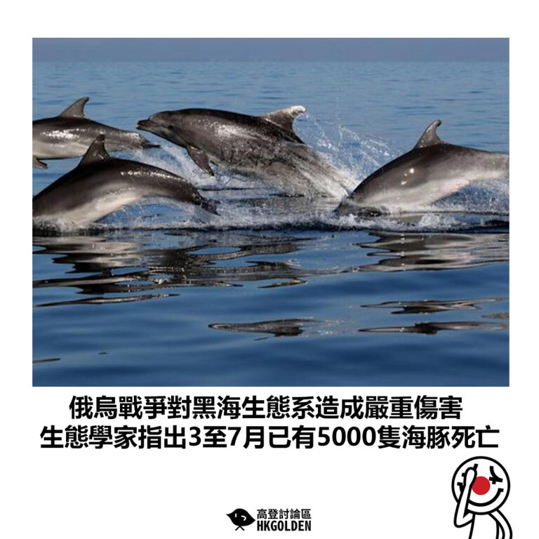 【俄烏戰爭對黑海生態系造成嚴重傷害 生態學家指出3至7月已有5000隻海豚死亡】
