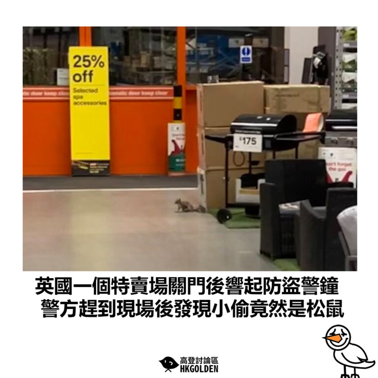 【英國一個特賣場關門後響起防盜警鐘 警方趕到現場後發現小偷竟然是松鼠】
