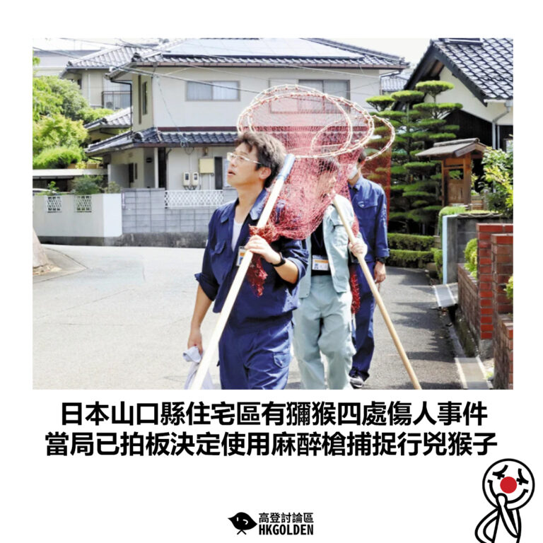 【日本山口縣住宅區有獼猴四處傷人事件 當局已拍板決定使用麻醉槍捕捉行兇猴子】