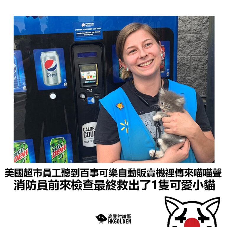 【美國超市員工聽到百事可樂自動販賣機裡傳來喵喵聲 消防員前來檢查最終救出了1隻可愛小貓】