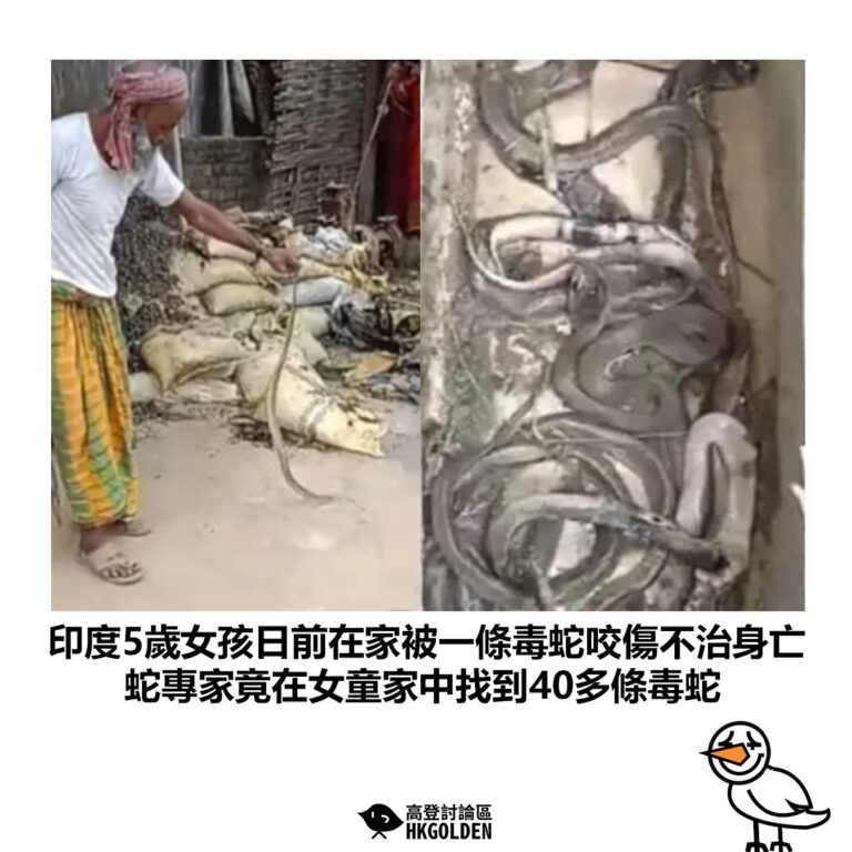 【印度5歲女孩日前在家被一條毒蛇咬傷不治身亡 蛇專家竟在女童家中找到40多條毒蛇】