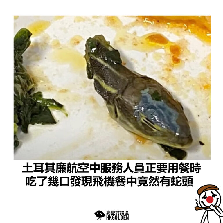 【土耳其廉航空中服務人員正要用餐時 吃了幾口發現飛機餐中竟然有蛇頭】