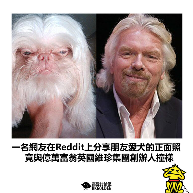 【一名網友在Reddit上分享朋友愛犬的正面照 竟與億萬富翁英國維珍集團創辦人撞樣】
