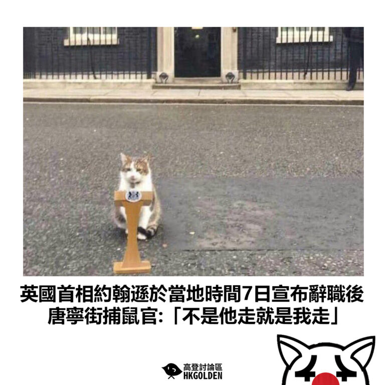 【英國首相約翰遜於當地時間7日宣布辭職後 唐寧街捕鼠官:「不是他走就是我走」】